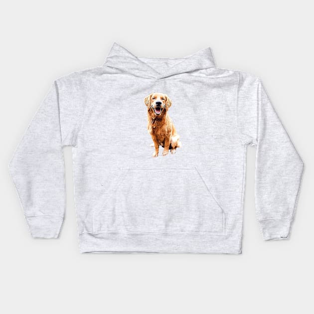 Golden Retriever- Stunning! Kids Hoodie by ElegantCat